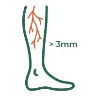C2